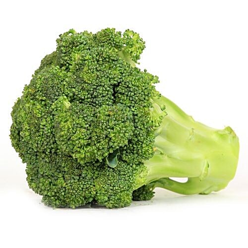 Fresho Broccoli 1 kg Buy online at best price