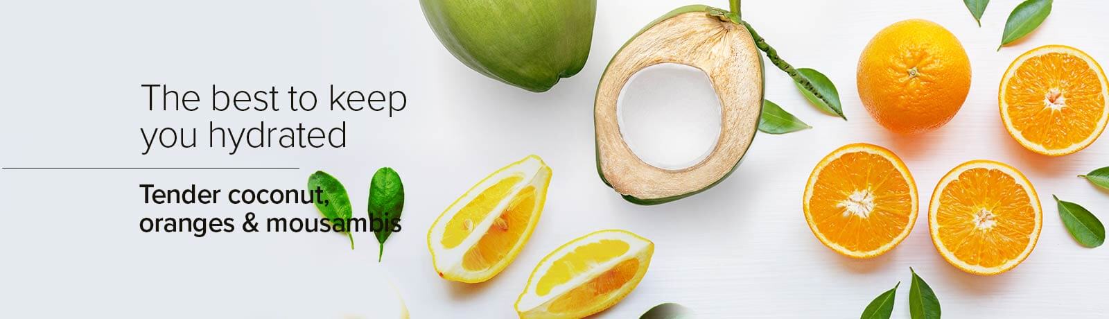 owlImg.img.name image