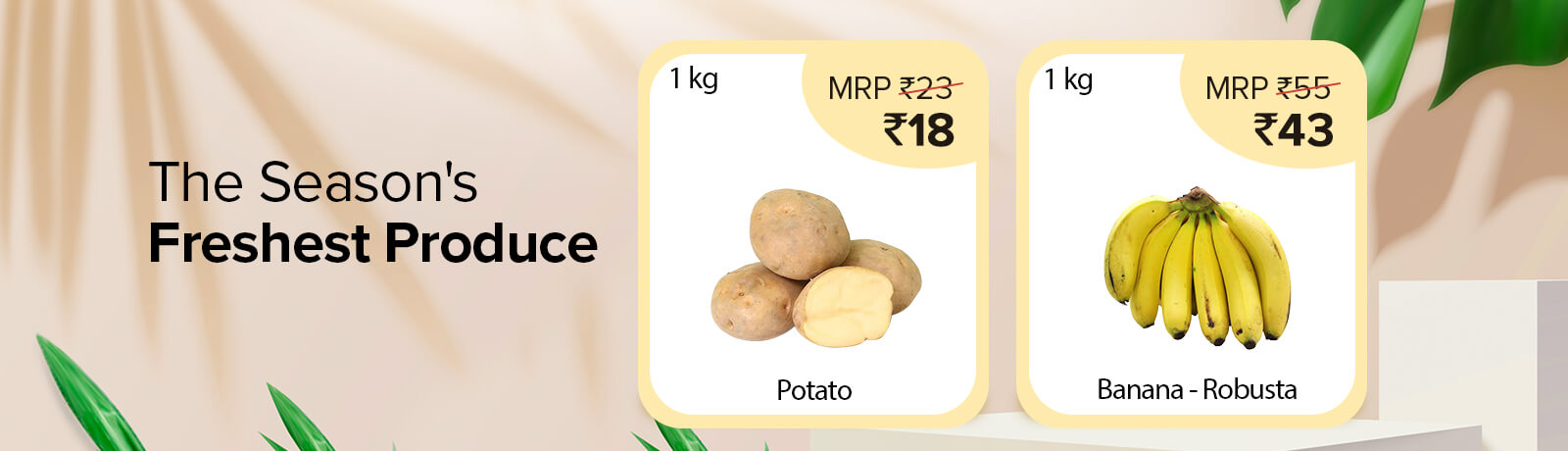 owlImg.img.name image