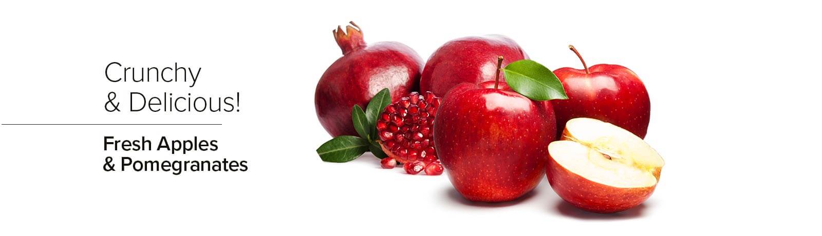 owlImg.img.name image