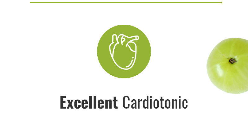 Excellent Cardiotonic