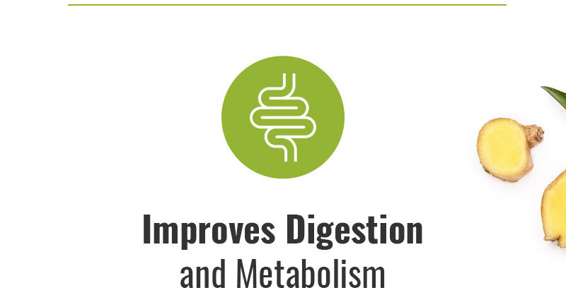 Improves Digestion and Metabolism