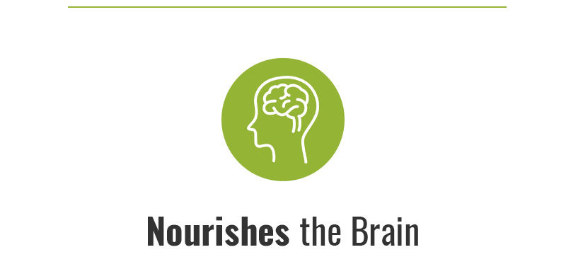 Nourishes the Brain
