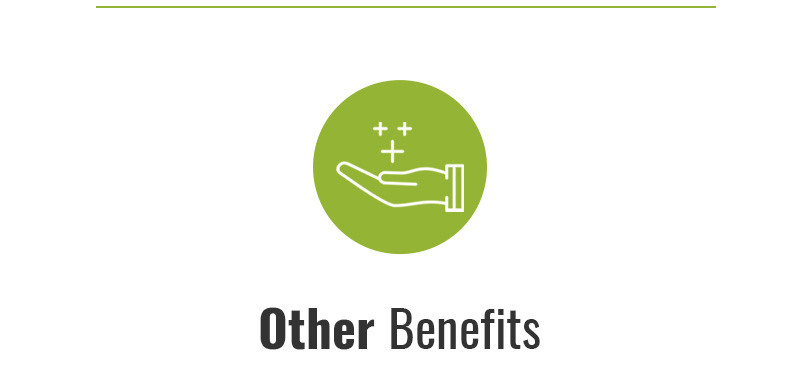 Improves Digestion and Metabolism