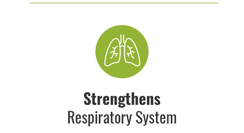 Strengthens Respiratory System