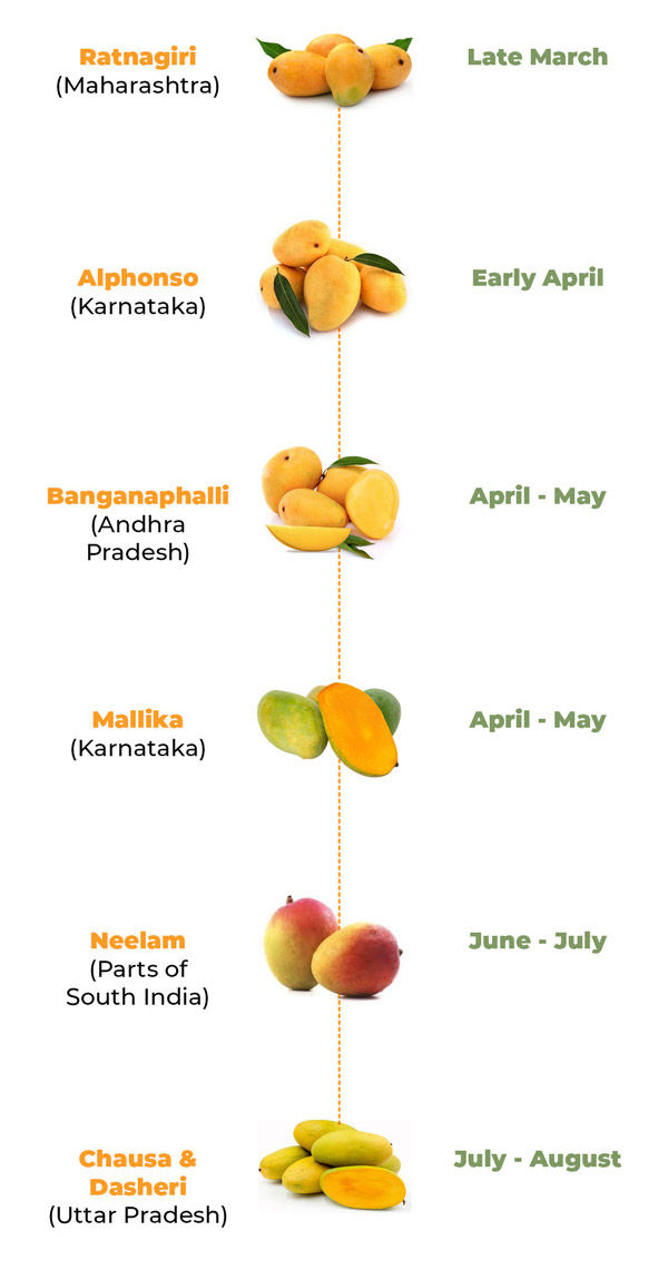 Indian mangoes season calendar