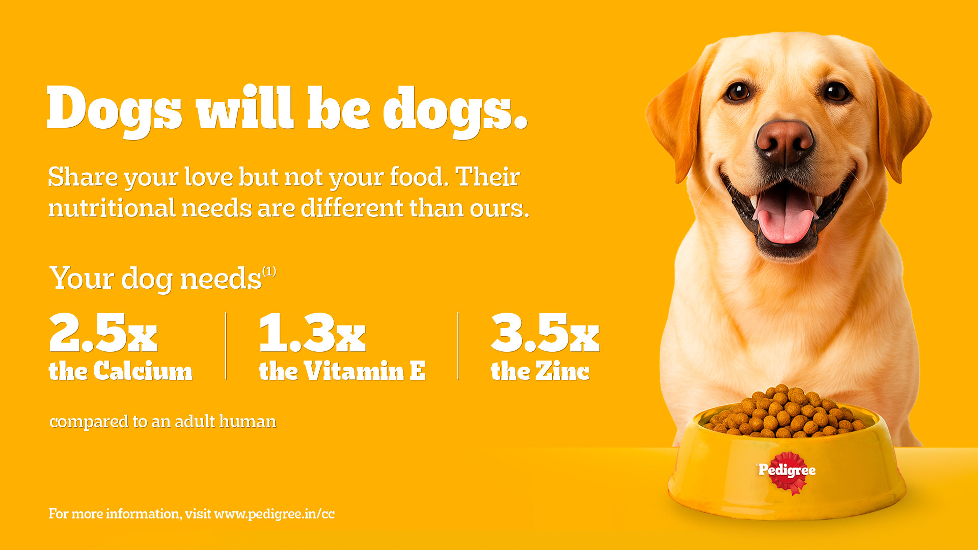 Buy Pedigree Dry Dog Food For Adult Chicken Vegetables kg