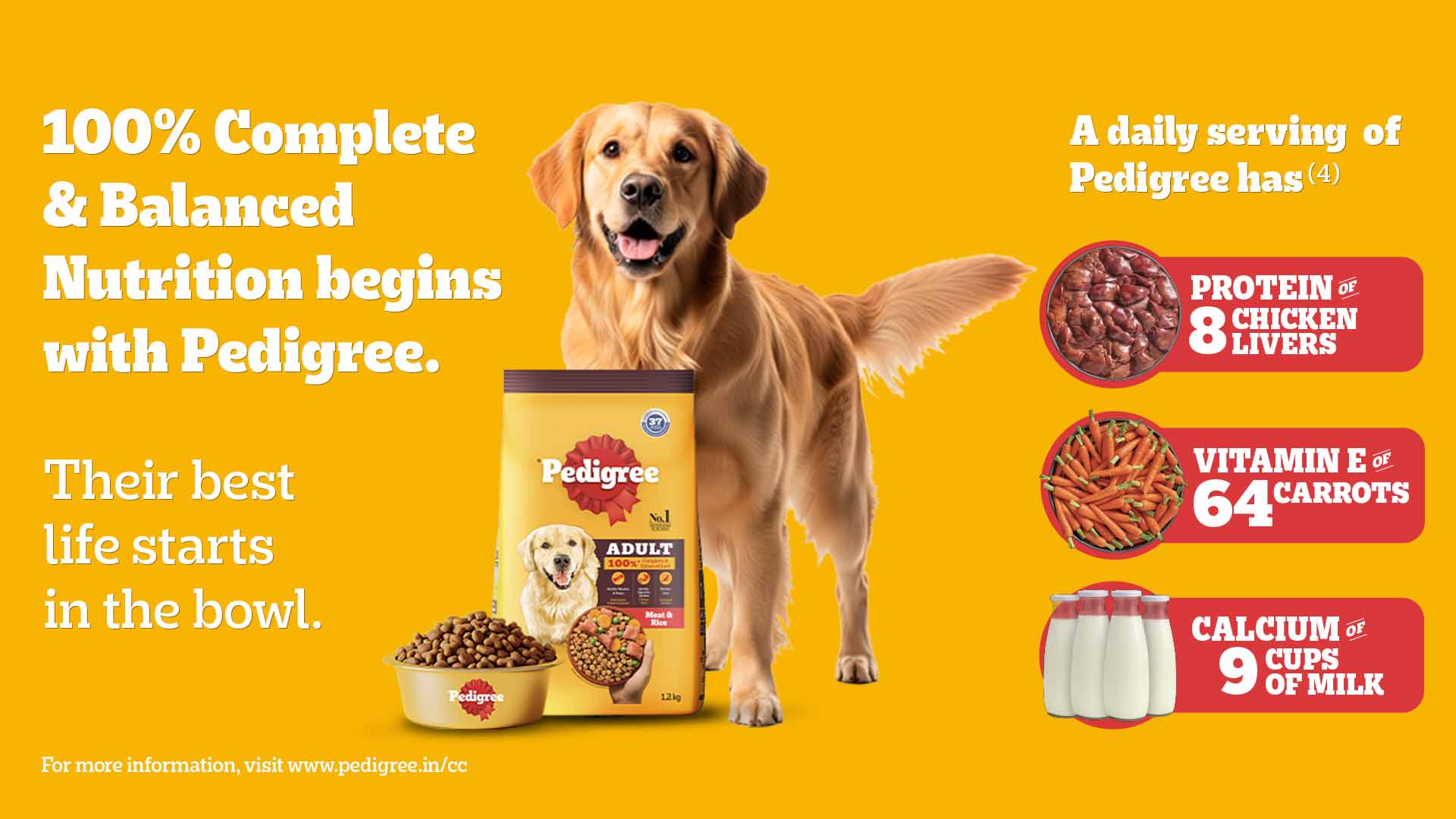 Adult Dry Dog Food Food, Meat Rice of Rs bigbasket