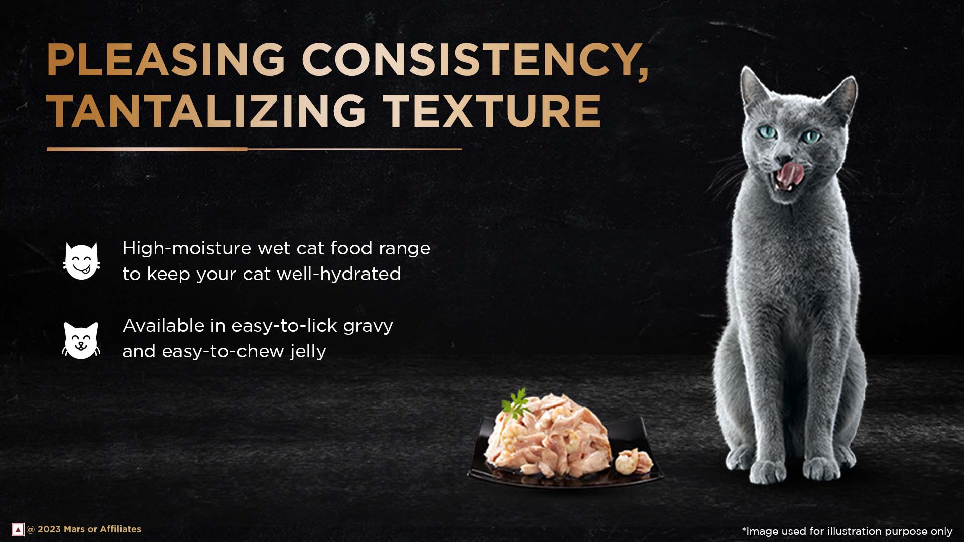 Boiled Egg Is Mayonnaise Safe For Cats Buy Royal Canin Cat Food