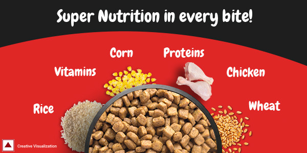 Buy Purina Supercoat Puppy Dry Dog Food With Chicken Up To 12