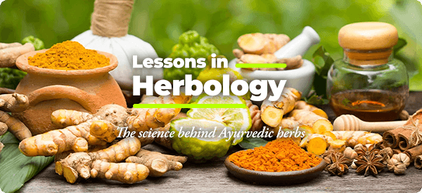 Lessons in Herbology