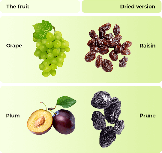 Fruit Versions