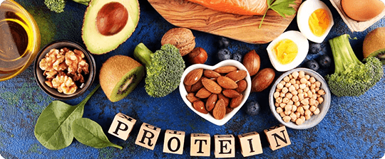 Can the body make its own protein?