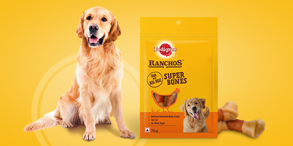 Buy Pedigree Ranchos Chicken Milky Flavour Super Bones Online at