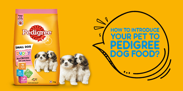 Buy Pedigree Puppy Small Dog Dry Food Lamb Milk Flavour Online