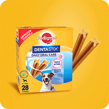 Buy Pedigree Dentastix Dog Oral Care Small Breed 110 Gm Online At