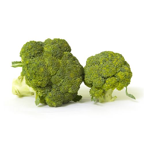 Fresho Broccoli, 1 pc (Approx. 250g-500g) 