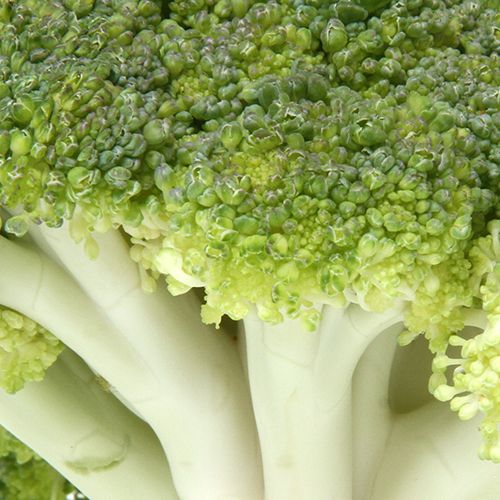 Fresho Broccoli, 1 pc (Approx. 250g-500g) 