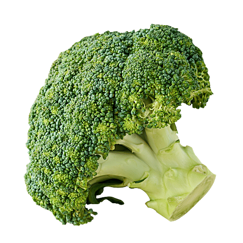 fresho! Broccoli, 1 pc (Approx. 250g-500g) 
