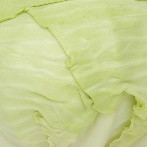 Fresho Cabbage, 1 pc (approx. 500 g to 800 g) 