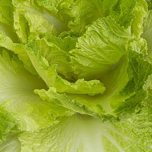 Fresho Chinese Cabbage, 500 g  