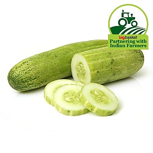 Buy Fresho Cucumber 1 Kg Online At Best Price of Rs 33 bigbasket