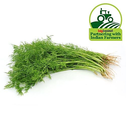 Buy Fresho Dill Leaves 500 Gm Online At Best Price of Rs 52 bigbasket