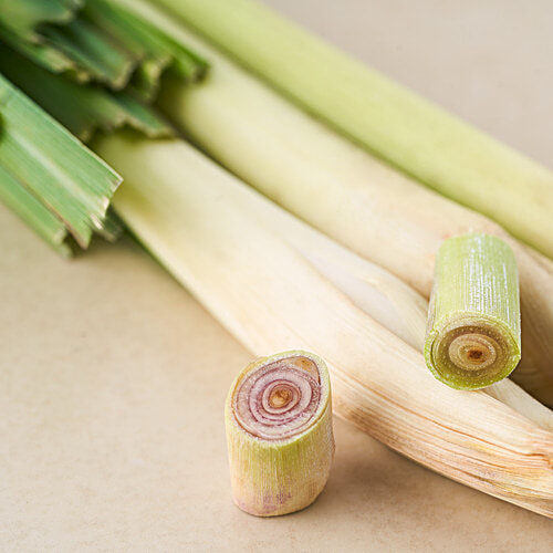 fresho! Lemon Grass, 100 g