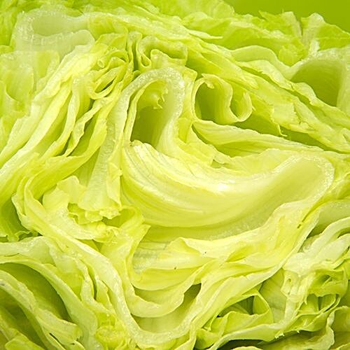 Buy Fresho Lettuce Iceberg 500 Gm Online At Best Price of Rs 41 bigbasket