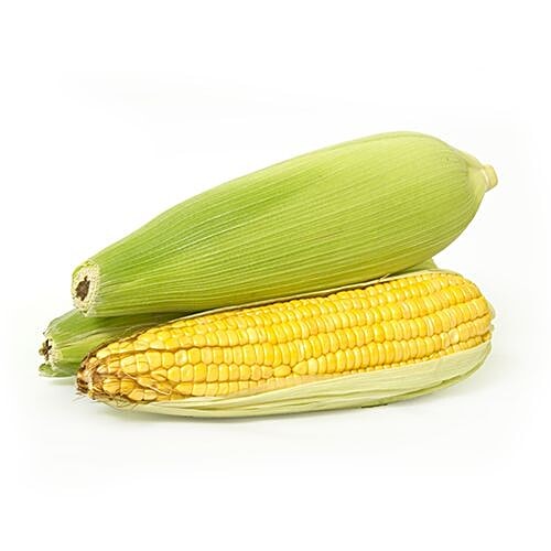 Fresho Sweet Corn / Indian Bhutta, 1 pc  