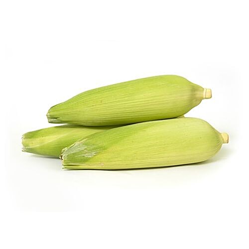 Fresho Sweet Corn / Indian Bhutta, 1 pc  
