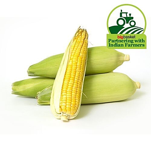 Fresho Sweet Corn / Indian Bhutta, 1 pc  