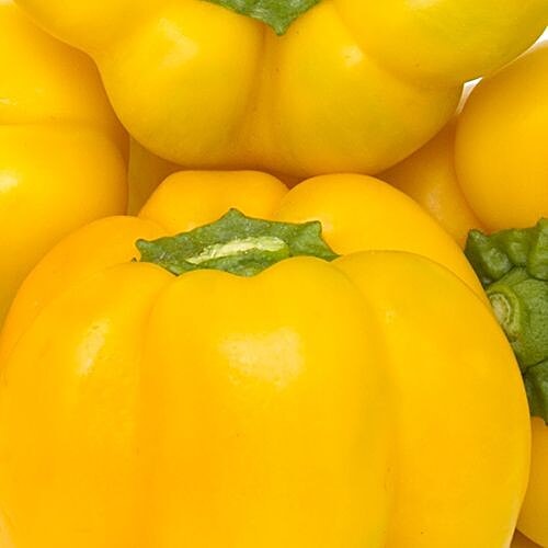 Fresho Capsicum - Yellow, 250 g  