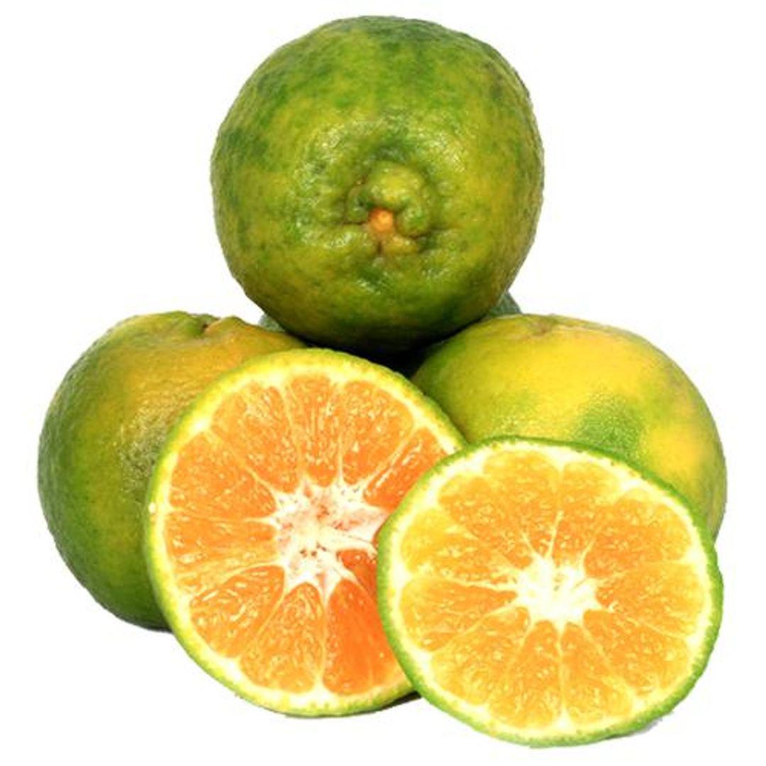 Fresho Orange - Nagpur, Regular (Loose), 1 kg (Approx. 6 - 8 pcs)
