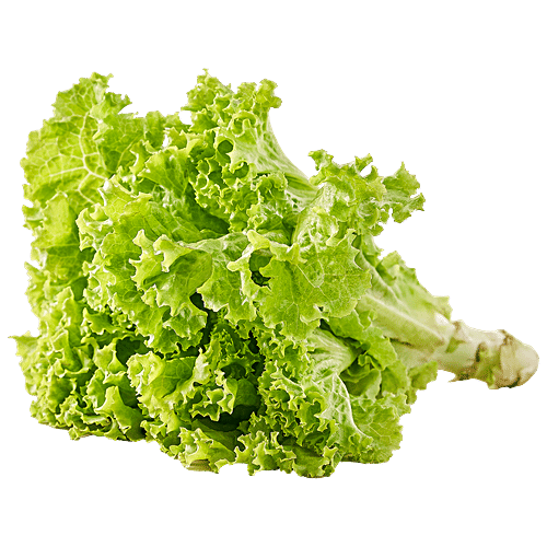 fresho! Lettuce - Green, 1 kg  