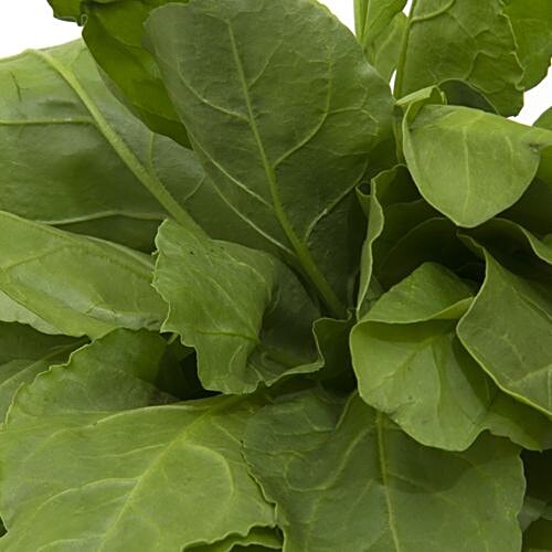 fresho! Palak - Cleaned, without roots, 100 g  Good Amount of Fiber