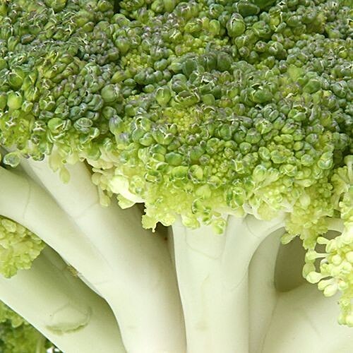 Buy Fresho Broccoli 1 Kg Online At Best Price of Rs 149.39 bigbasket