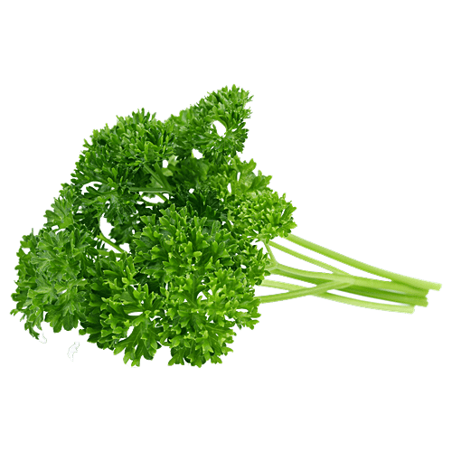 Buy Fresho Parsley Leaves Curly 1 Kg Online At Best Price of Rs 392
