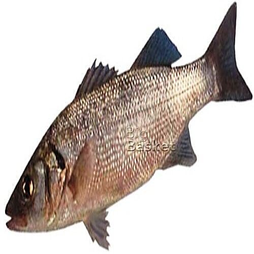 Buy Fresho Sea Bass Fish Cleaned Whole Online at Best Price of Rs