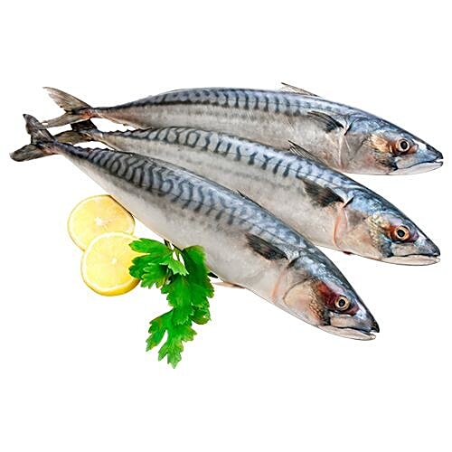 Buy fresho! Mackerel Fish Large 46 pcs /kg, Whole Cleaned 2pcs Online at Best Price of Rs 380