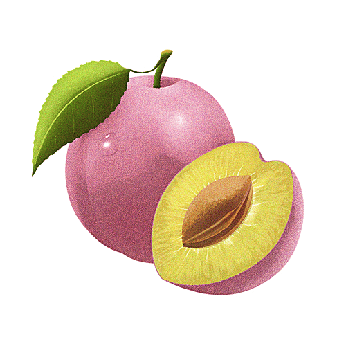 BIOTIQUE Himalayan Plum - Soap, 150 g Carton 