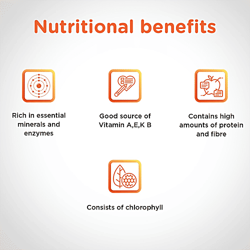 24 Mantra Organic Wheat Grass Powder, 100 g Carton 