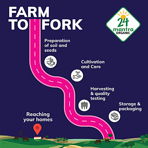 24 Mantra Organic Flax Seeds, 200 g Pouch Gluten Free