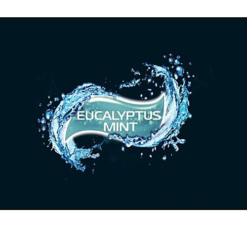 Close Up Deep Action Eucalyptus Mint Anti Germ Gel Toothpaste, 150 g  