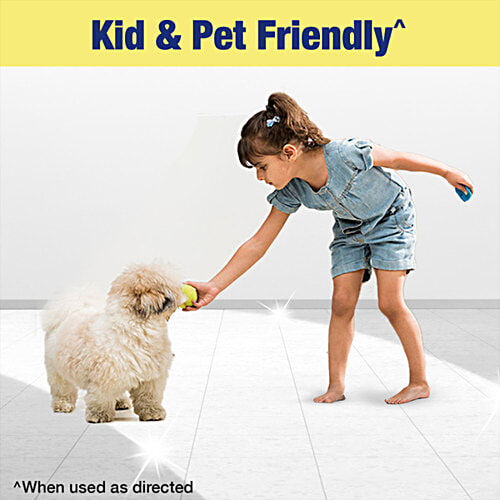 Lizol Disinfectant Surface & Floor Cleaner Liquid - Pine, Kills 99.9% Germs, 2x500 ml Multi Pack 