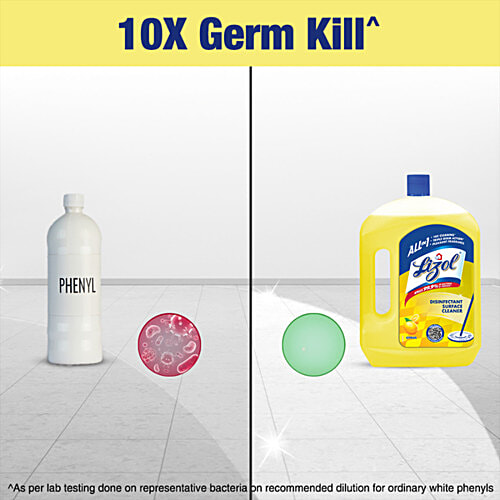 Lizol Disinfectant Surface & Floor Cleaner Liquid [Citrus 2 L + Lavender 2 L], Combo 2 Items 