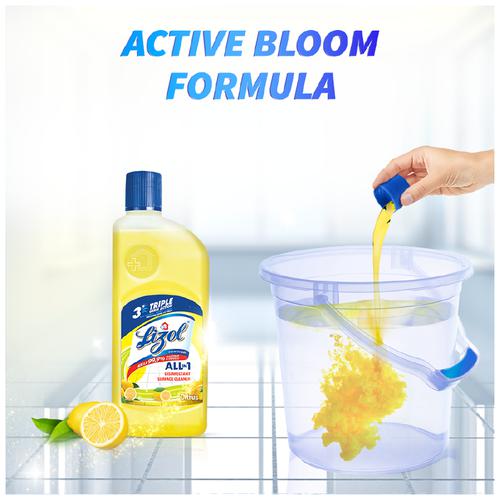 Lizol Disinfectant Surface & Floor Cleaner Liquid Citrus 500 ml + Floral 500 ml + Lavender 500 ml, Combo (Pack of 3) 