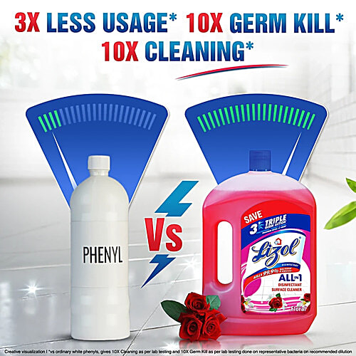 Lizol Disinfectant Surface Cleaner - Floral, 2x2 L Multipack 