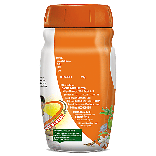 Dabur Chyawanprakash - Sugar Free, 2x500 g (Multipack) 