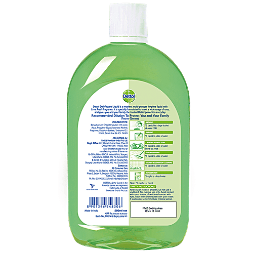 Dettol Lime Fresh 500 ml + Laundry San- Spring Blossom 480 ml, Combo 2 Items 